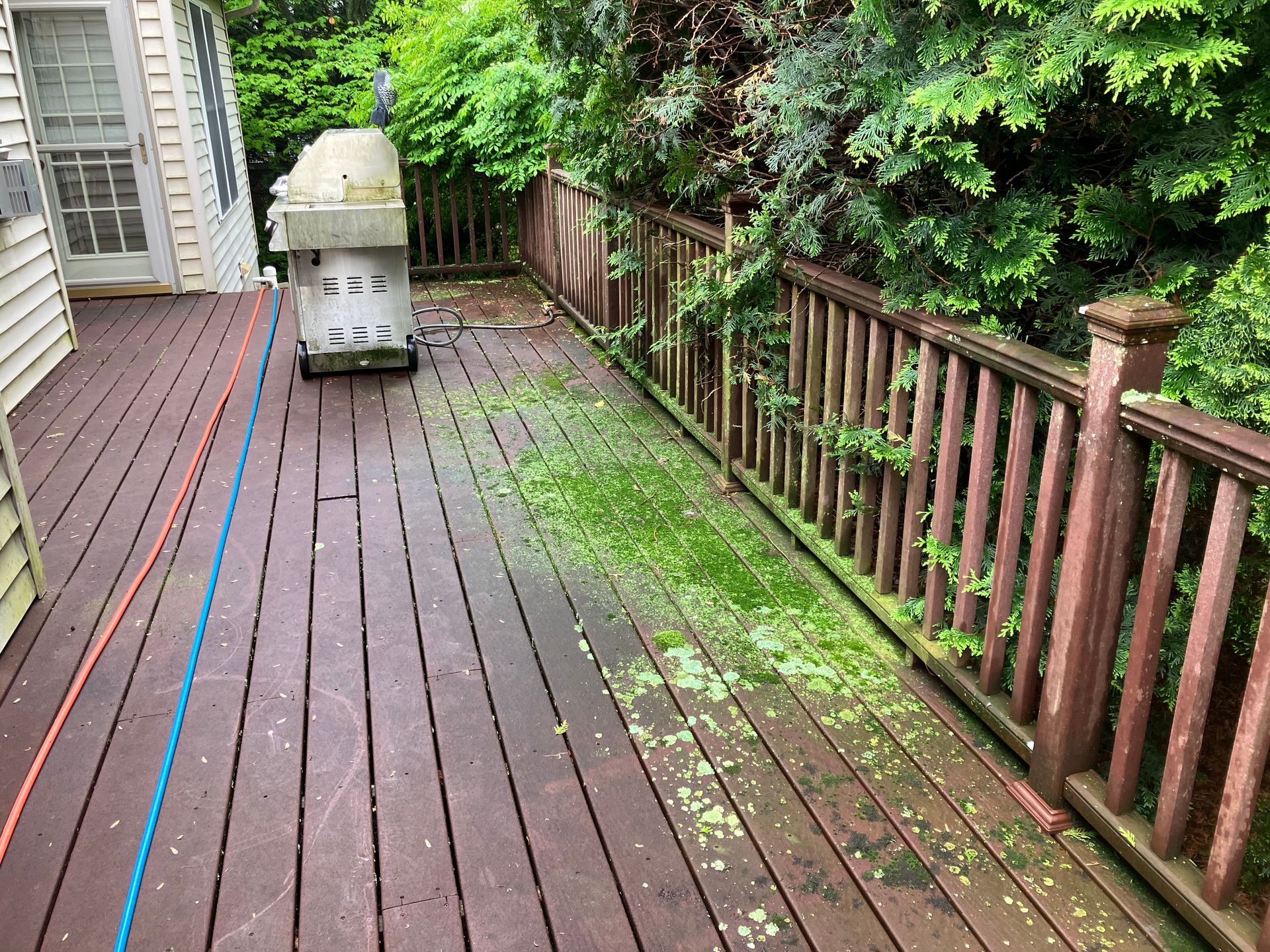 Deck Cleaning — Before